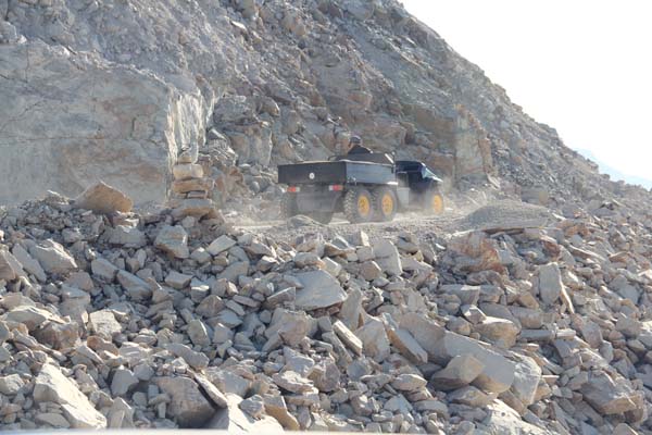 electric farm side by side