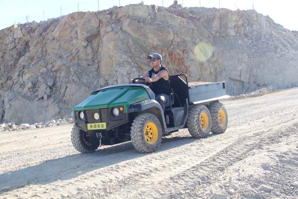2 Seater Electric Car