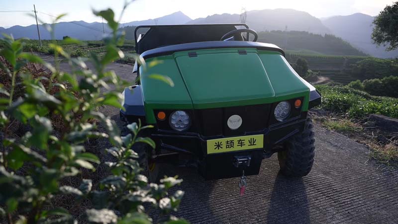 electric utility vehicle