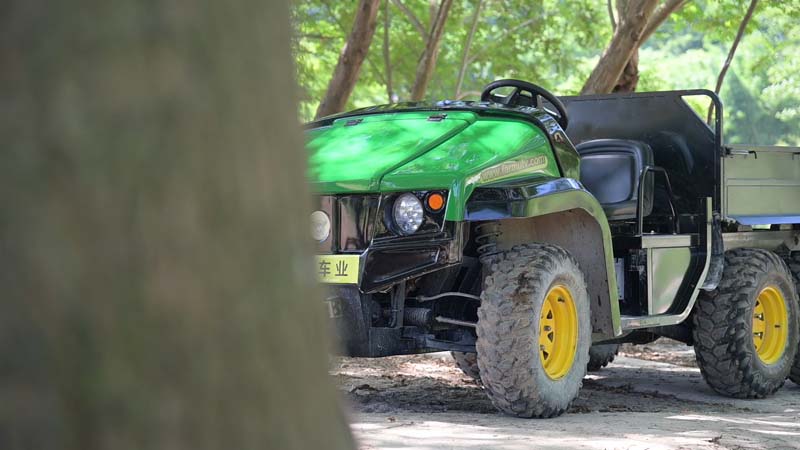 electric side by side