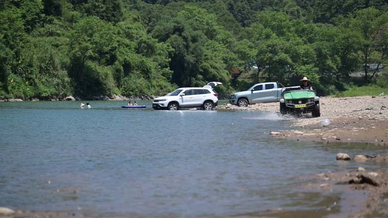 Electric large load UTV