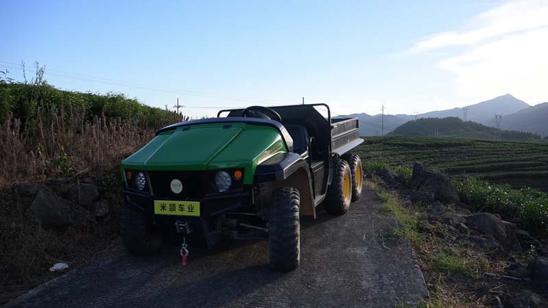 electric utility vehicle