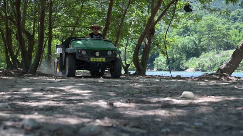 electric utility vehicle